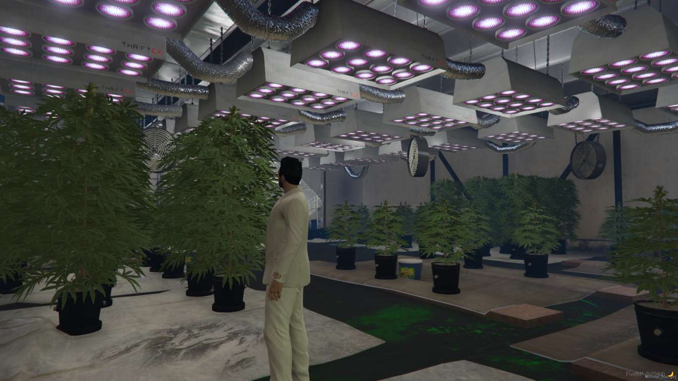 FiveM Cookies MLO thumbnail 6