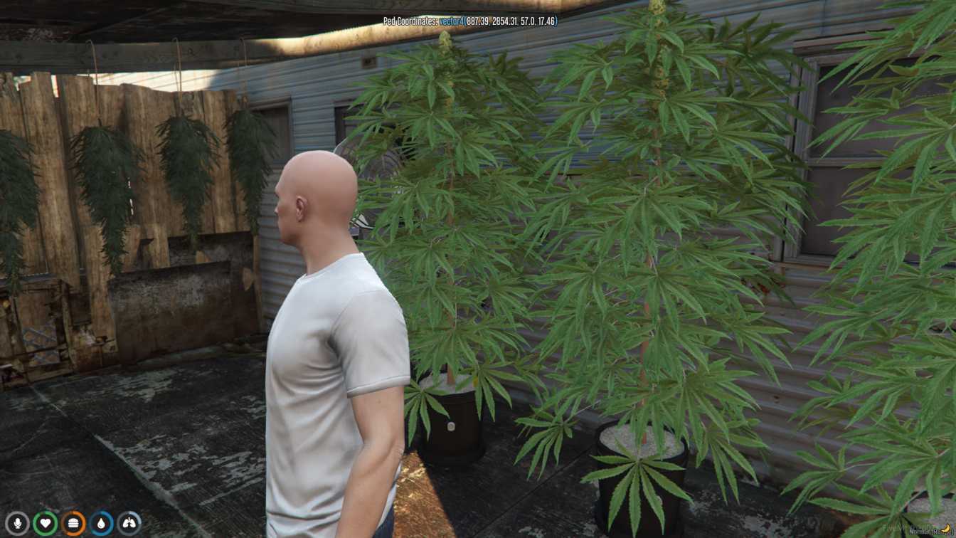 FiveM Drug Locations Map 2