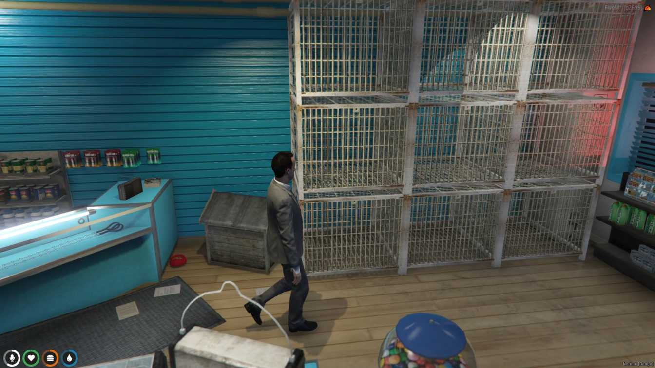 FiveM Petshop MLO thumbnail 4