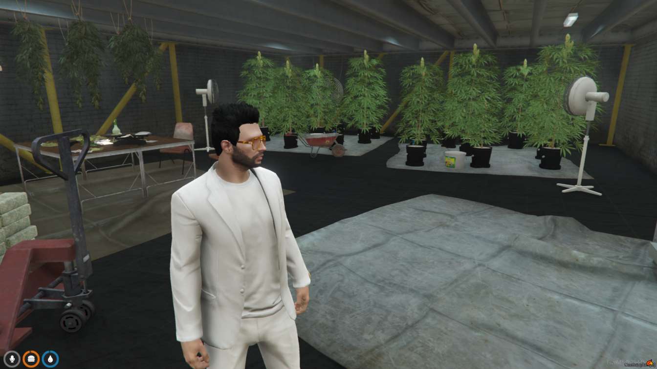 FiveM Weed Farm YMAP thumbnail 4