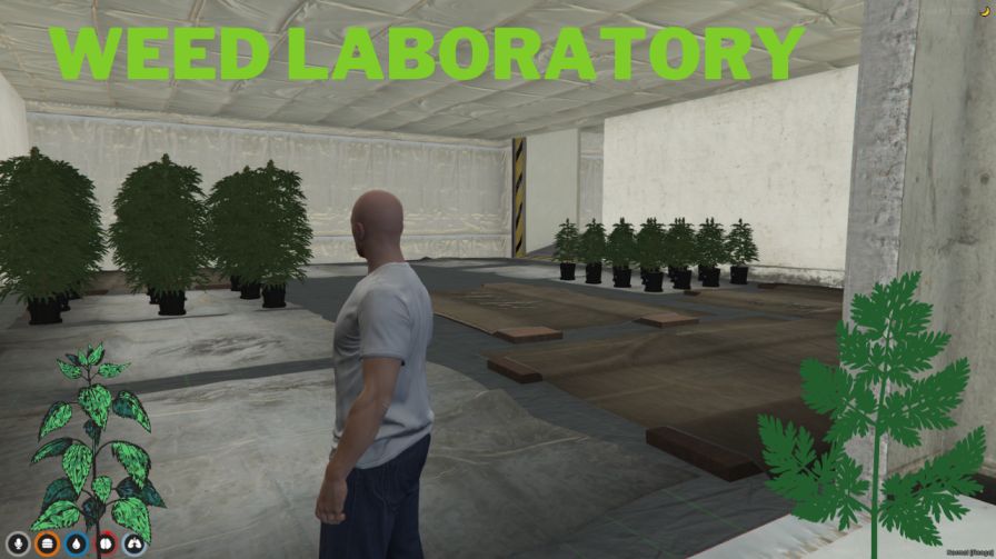 FiveM WeedLab MLO thumbnail 3