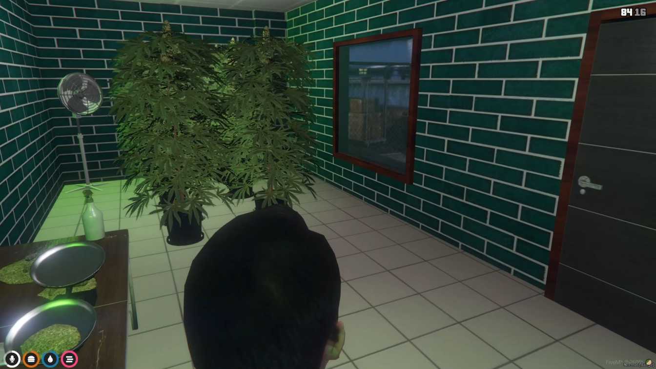 FiveM Weedshop Paleto MLO thumbnail 4