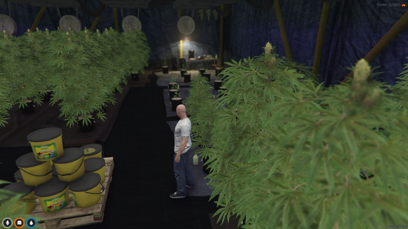 Weed Storage MLO thumbnail 5